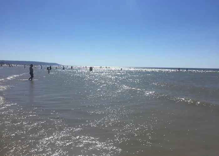Deauville Vue Port Centre Ville