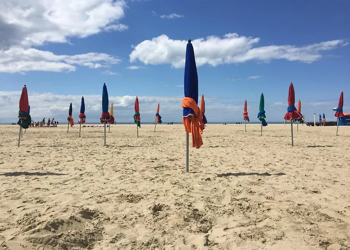 Deauville Vue Port Centre Ville
